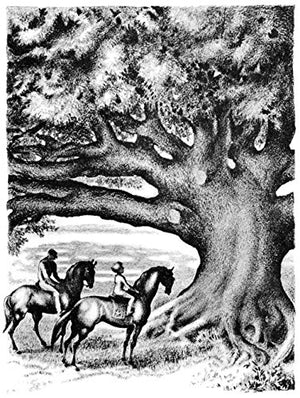 The Chestry Oak,Used