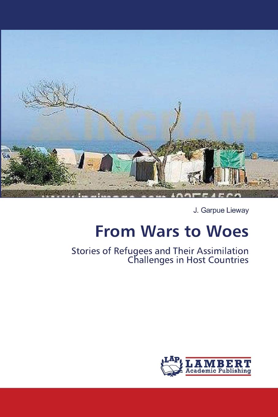 From Wars to Woes: Stories of Refugees and Their Assimilation Challenges in Host Countries,Used
