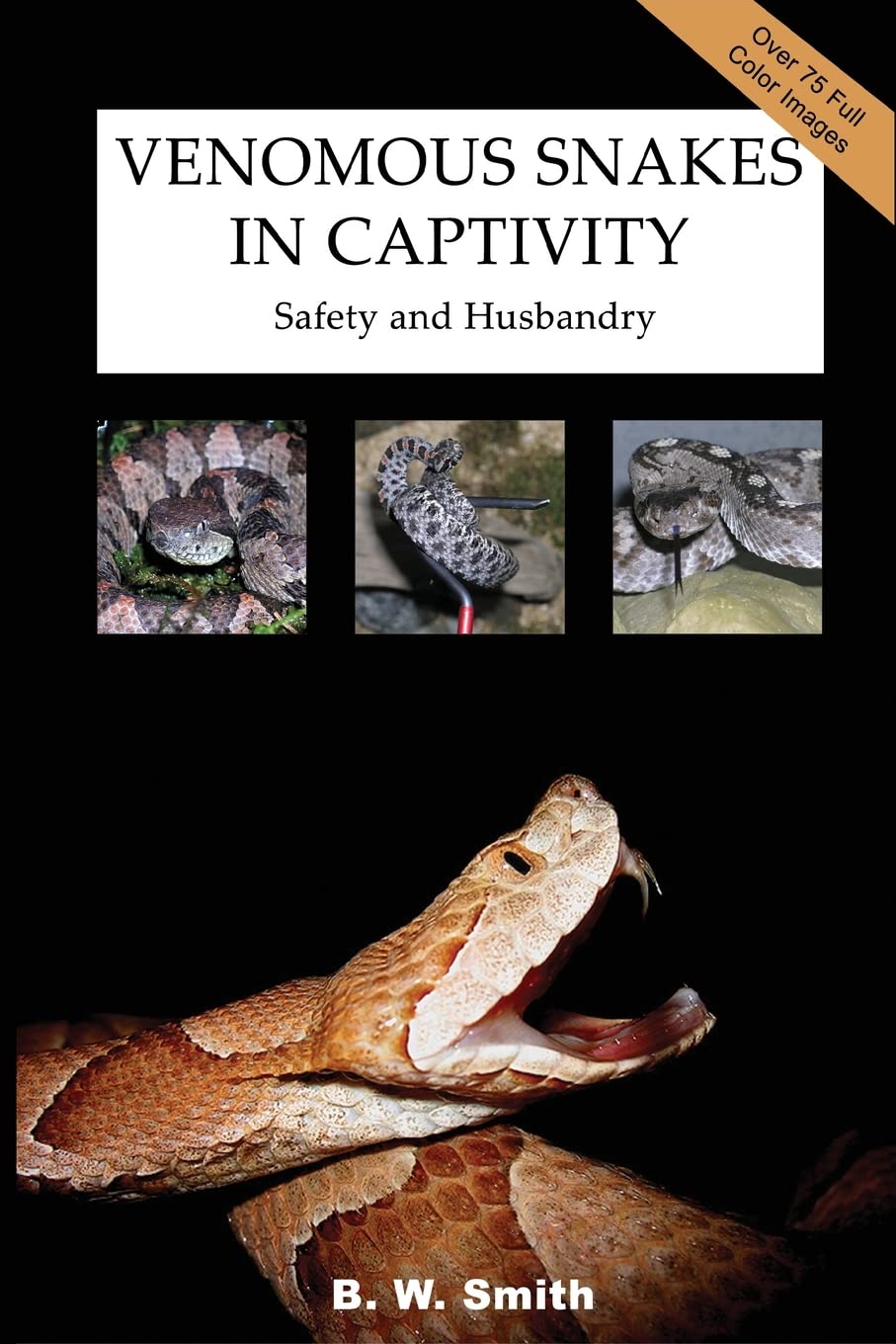 Venomous Snakes In Captivity: Safety And Husbandry,Used