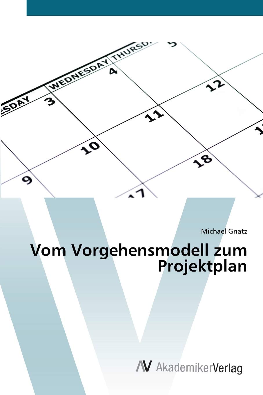 Vom Vorgehensmodell zum Projektplan (German Edition),Used