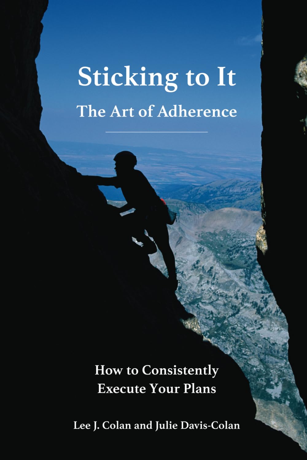 Sticking to It: The Art of Adherence,Used