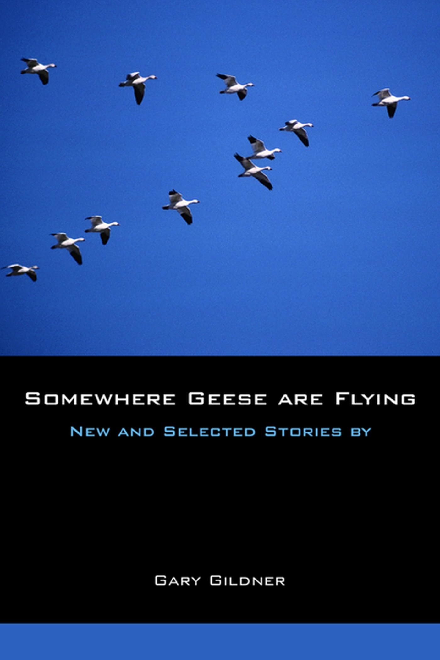 Somewhere Geese Are Flying: New And Selected Stories,Used