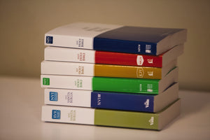 NIrV, Economy Bible, Paperback: Easy to read. Easy to share.,Used