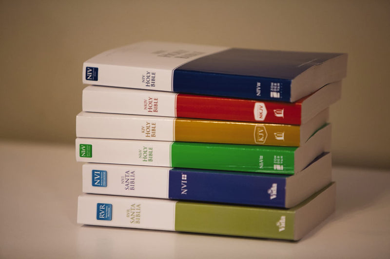 NIrV, Economy Bible, Paperback: Easy to read. Easy to share.,Used