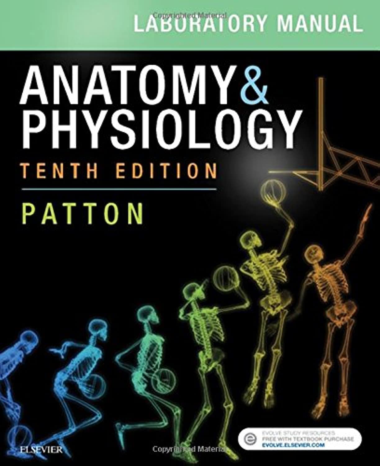 Anatomy & Physiology Laboratory Manual and ELabs,Used