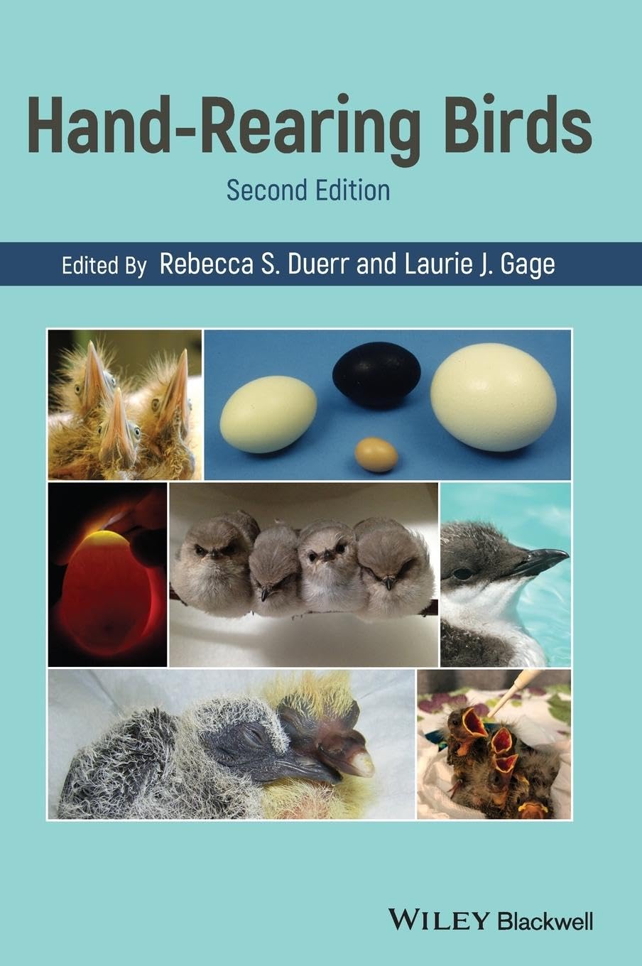 HandRearing Birds,Used