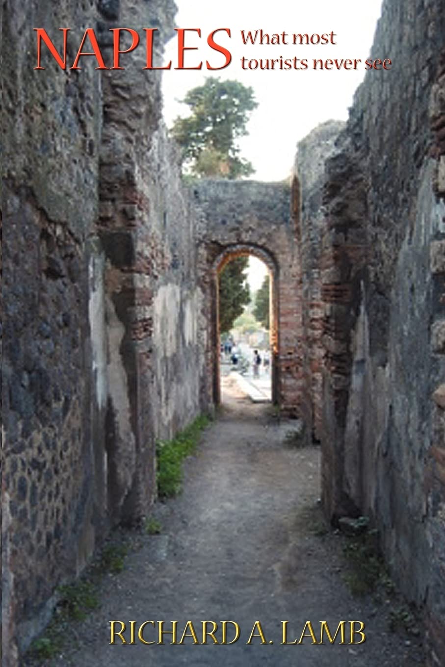 Naples, What Most Tourists Never See,Used