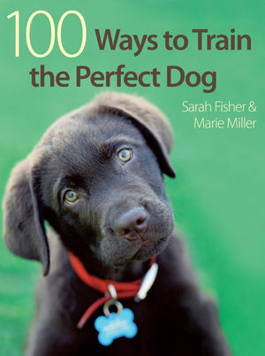 100 Ways To Train The Perfect Dog,Used