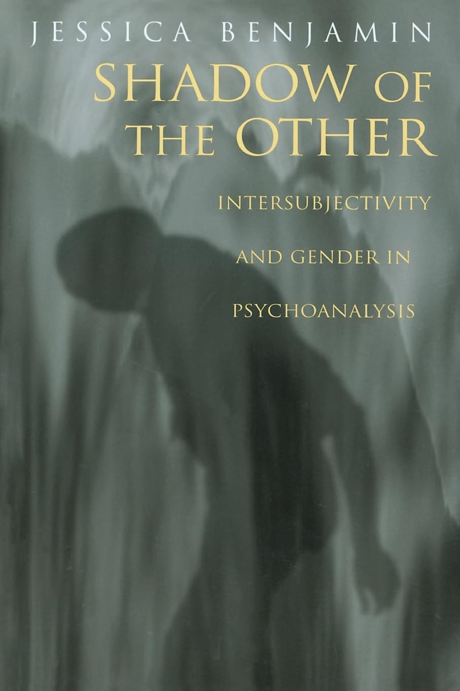 Shadow of the Other,New