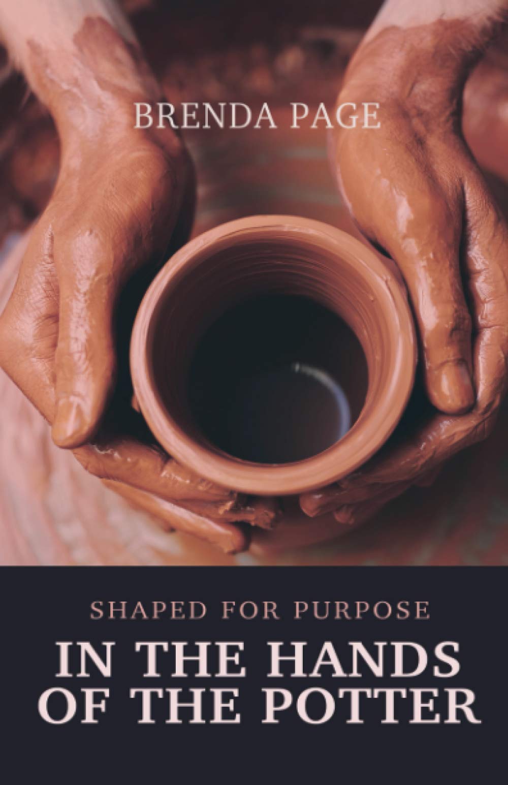In the Hands of the Potter: Shaped for Purpose,Used