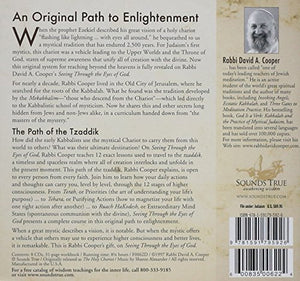 Seeing Through the Eyes of God: Mystical Practices of the Kabbalah,Used