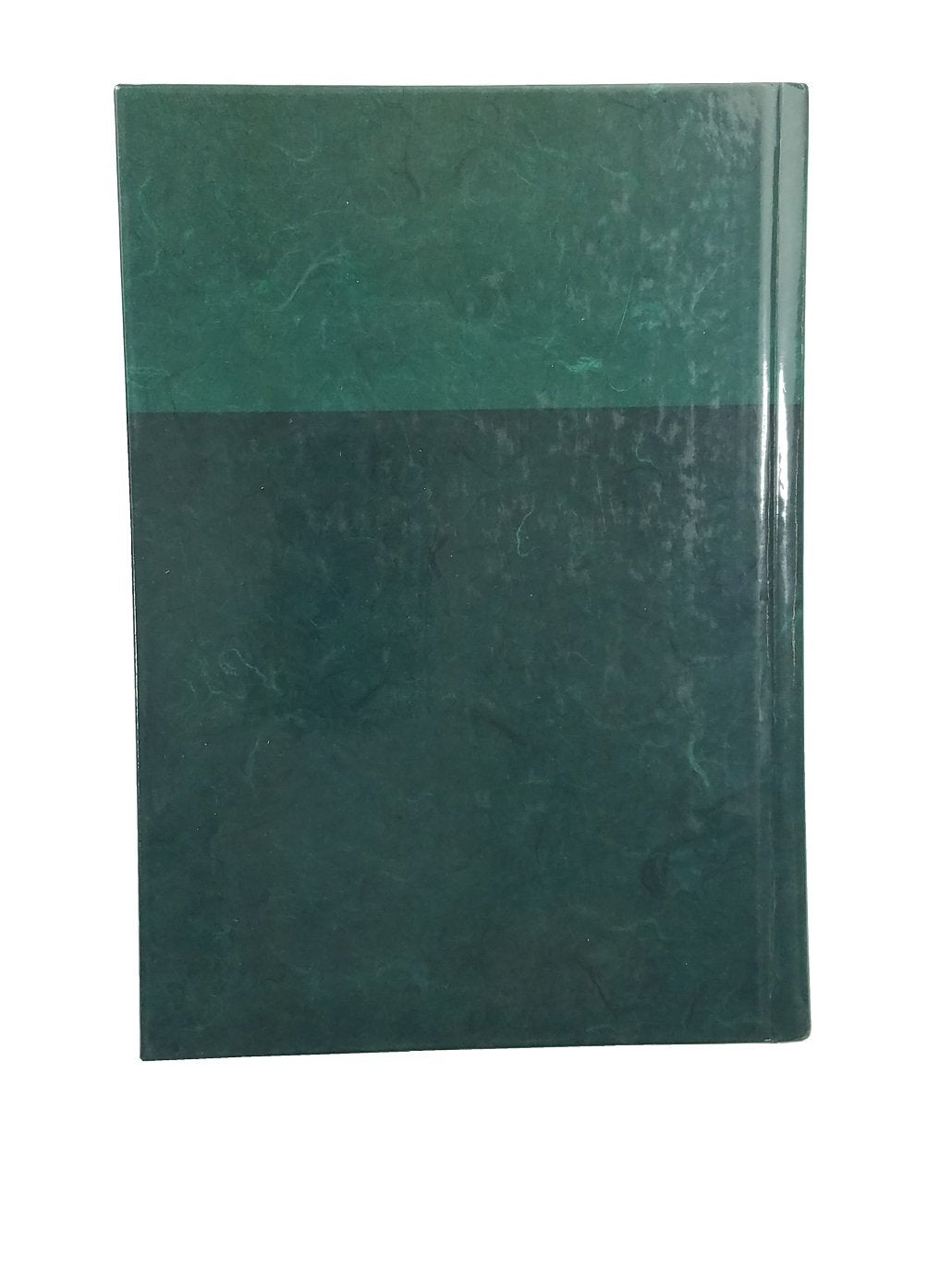 Life Application Study Bible Large Print: NLT1 (New Living Translation),Used
