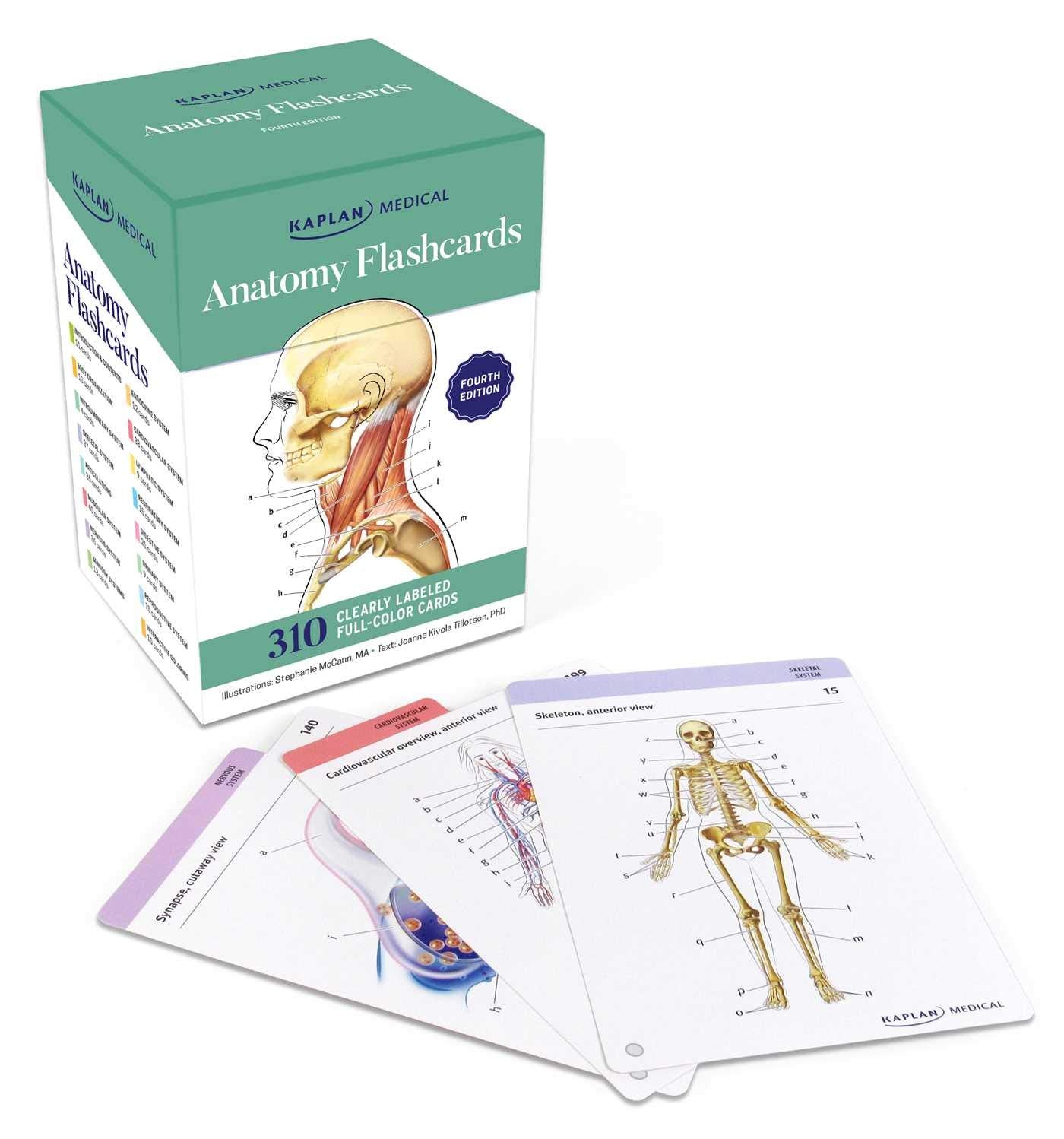 Anatomy Flashcards: 300 Flashcards With Anatomically Precise Drawings And Exhaustive Descriptions + 10 Customizable Bonus Cards