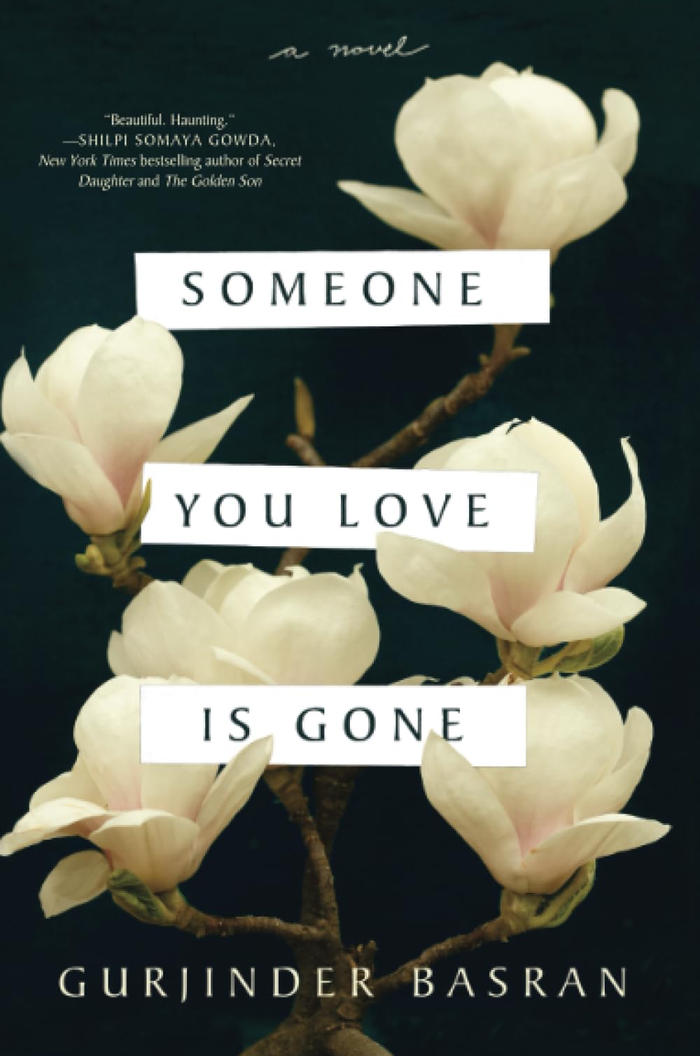 SOMEONE YOU LOVE GONE,Used