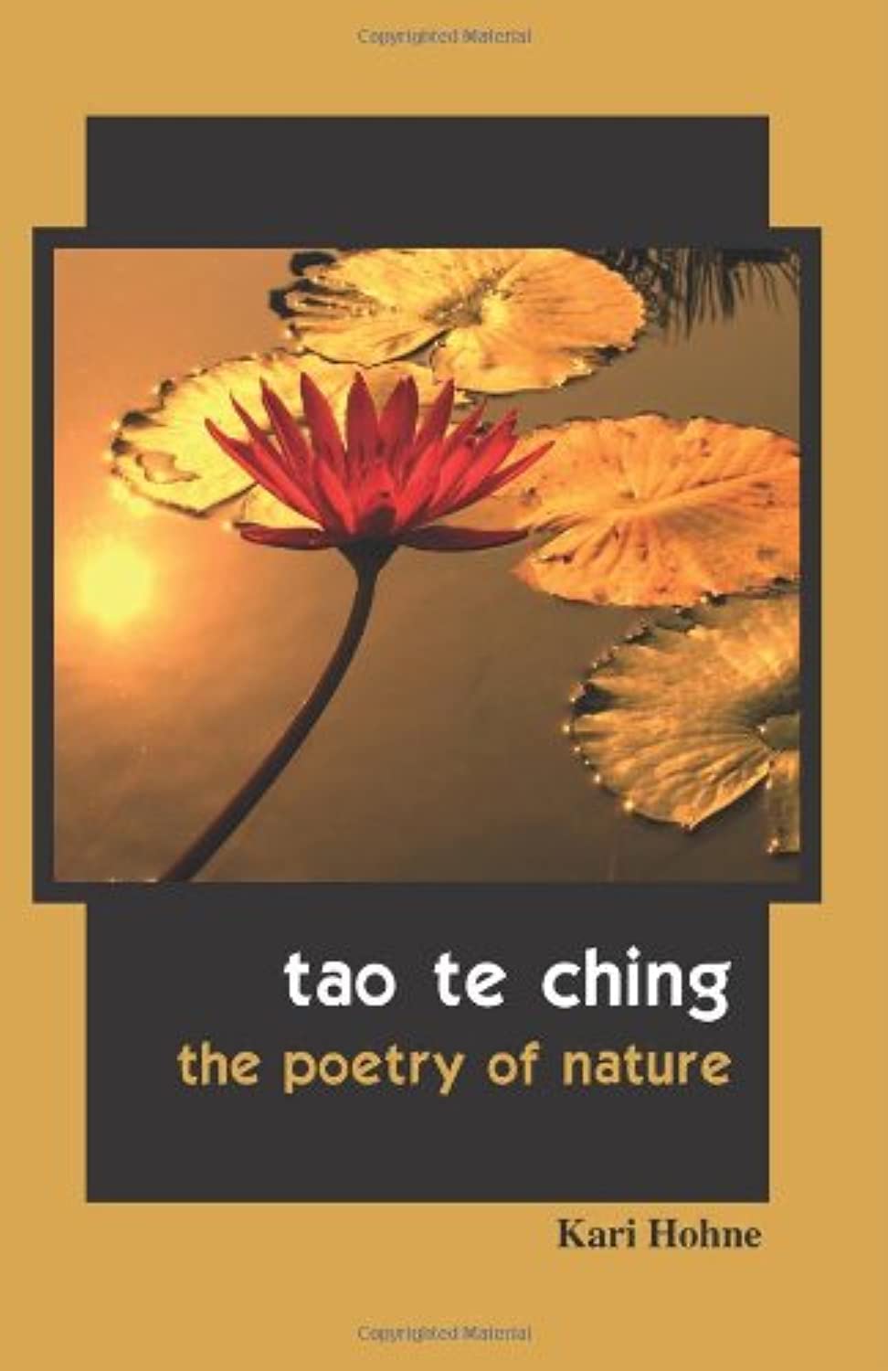 Tao te Ching: The Poetry of Nature,Used