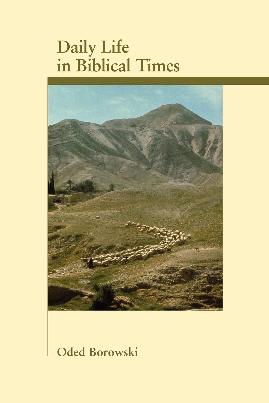 Daily Life In Biblical Times (Archaeology And Biblical Studies)