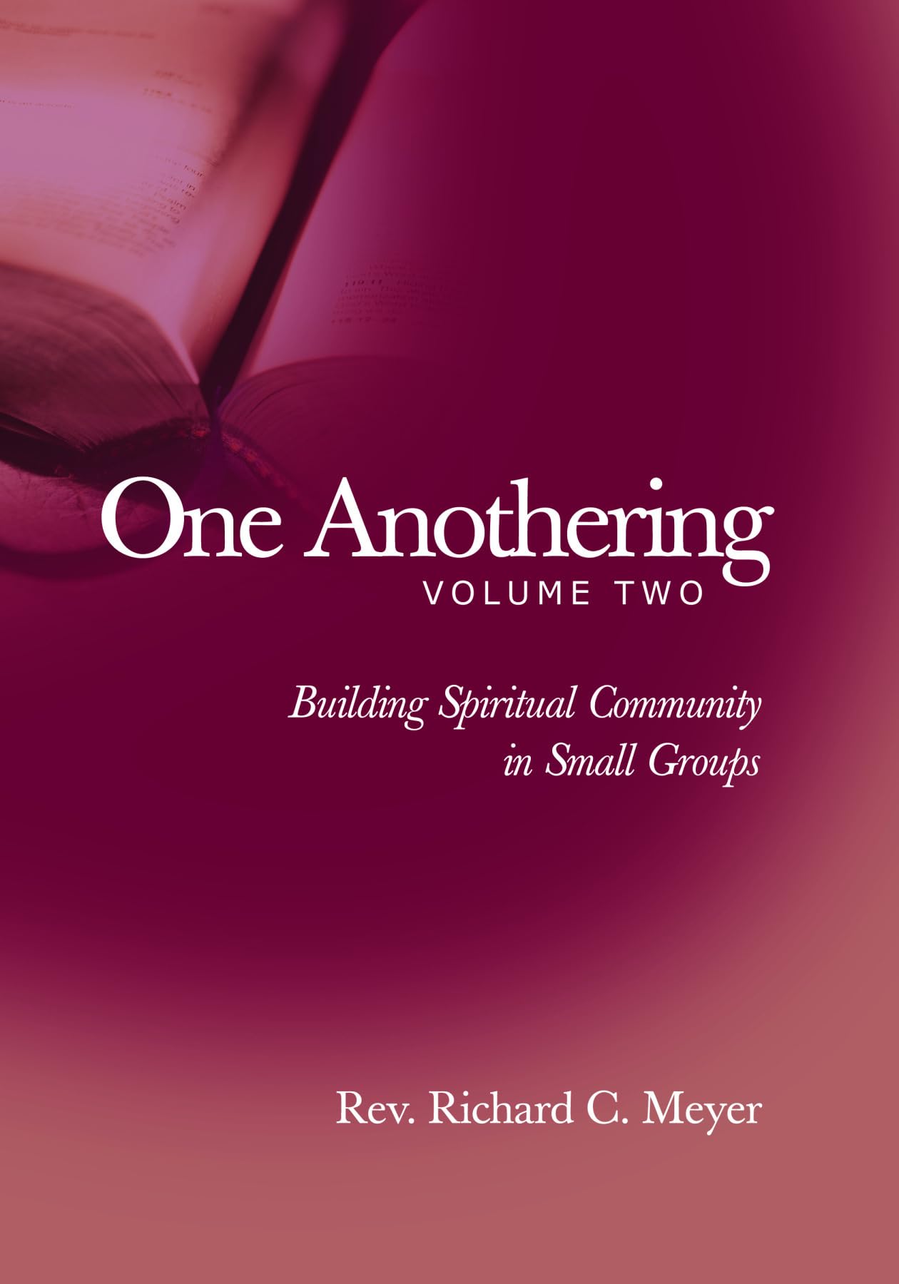 One Anothering, Volume 2: Building Spiritual Community in Small Groups,Used