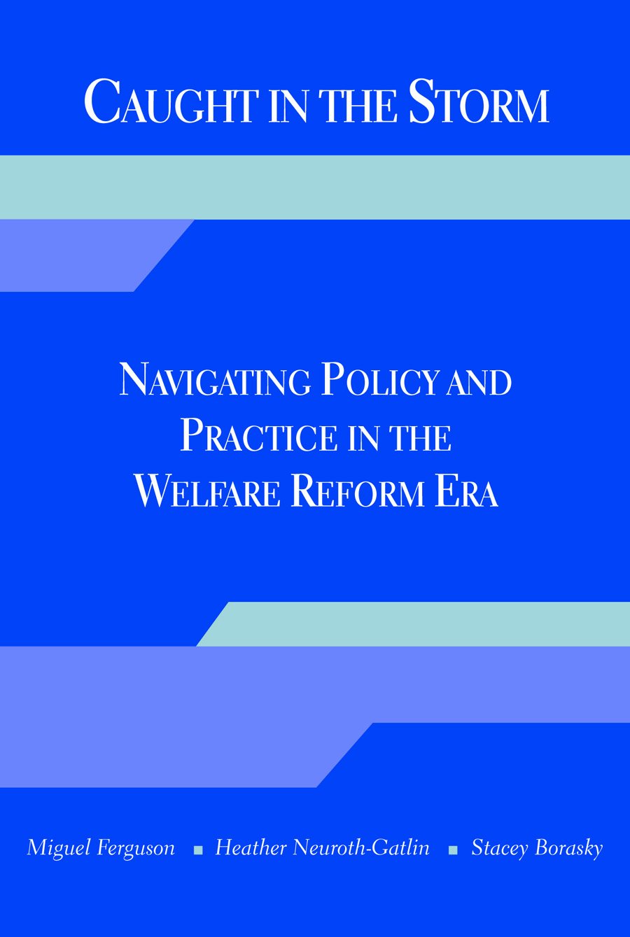 Caught in the Storm: Navigating Policy and Practice in the Welfare Reform Era,Used