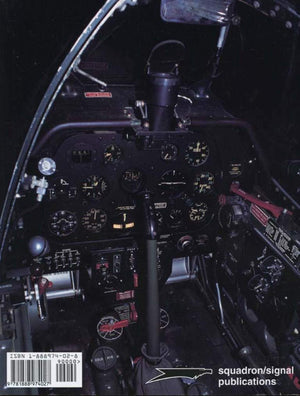 P51 Mustang Part1: In Detail & Sacale,Used