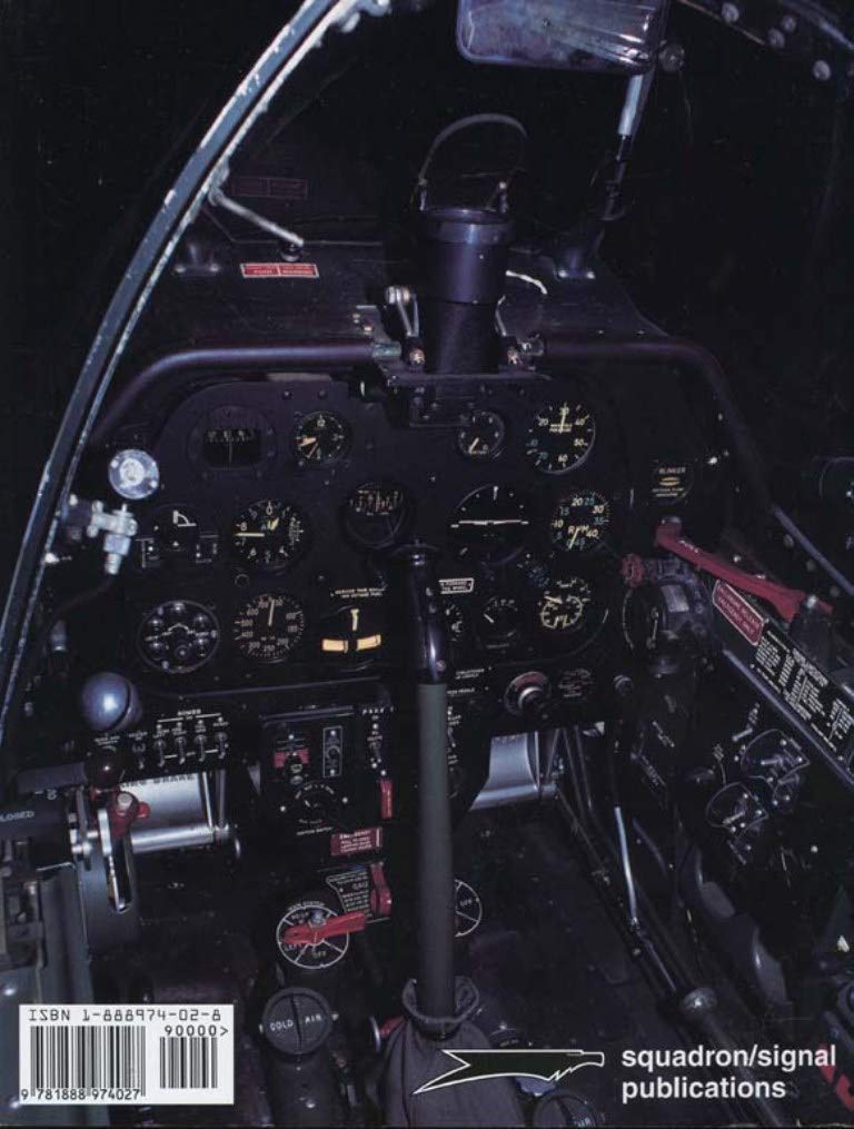 P51 Mustang Part1: In Detail & Sacale,Used