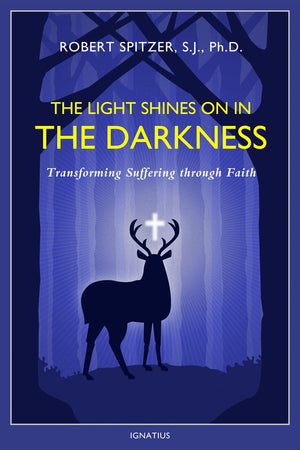 The Light Shines on in the Darkness: Transforming Suffering through Faith (Happiness, Suffering, and Transcendence) (Volume 4),Used
