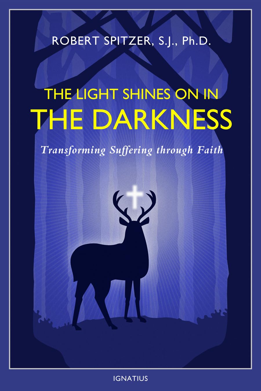 The Light Shines on in the Darkness: Transforming Suffering through Faith (Happiness, Suffering, and Transcendence) (Volume 4),Used