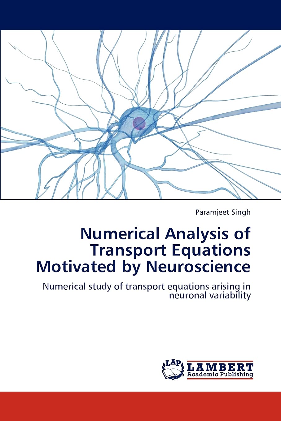 Numerical Analysis of Transport Equations Motivated by Neuroscience: Numerical study of transport equations arising in neuronal ,Used