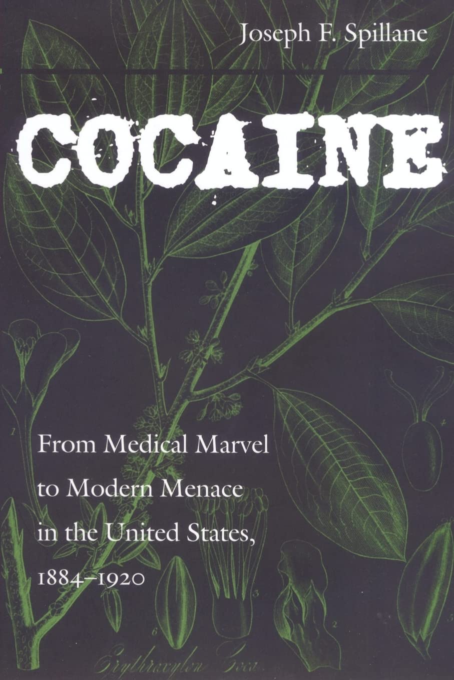 Cocaine: From Medical Marvel To Modern Menace In The United States, 18841920 (Studies In Industry And Society, 18),Used