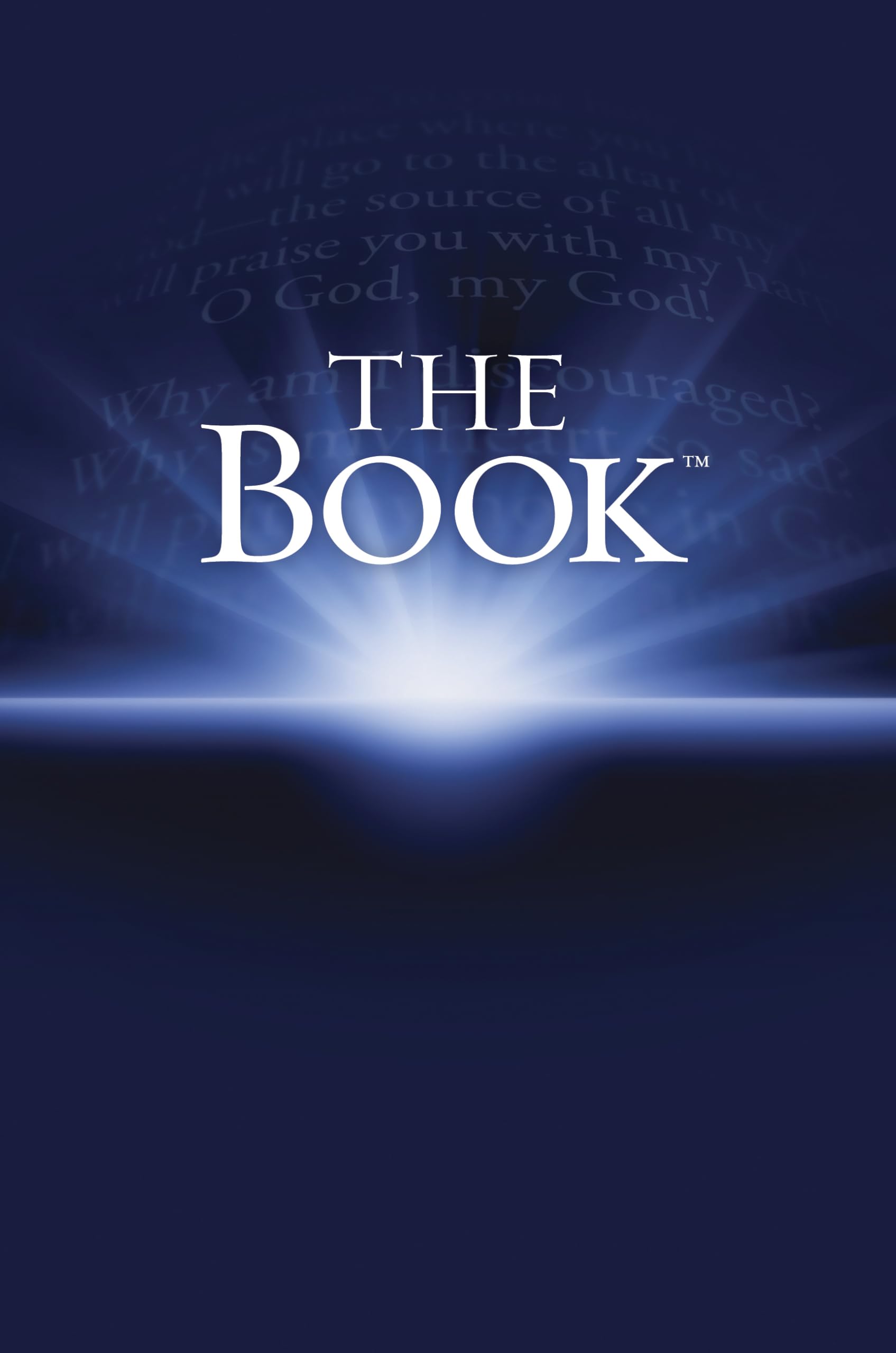 The Book (NLT),Used