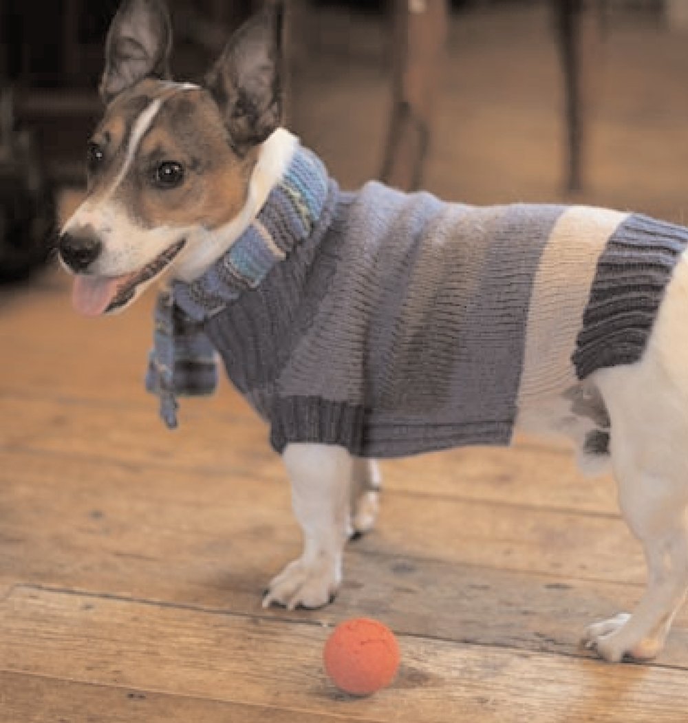 Simple Gifts For Dog Lovers,Used