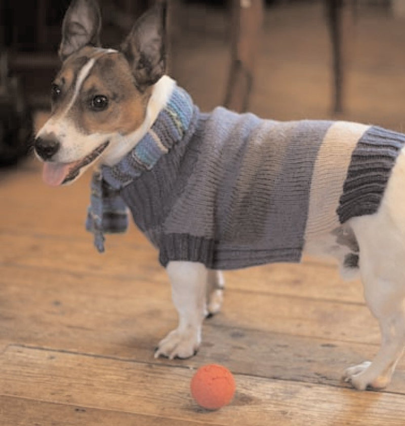 Simple Gifts For Dog Lovers,Used