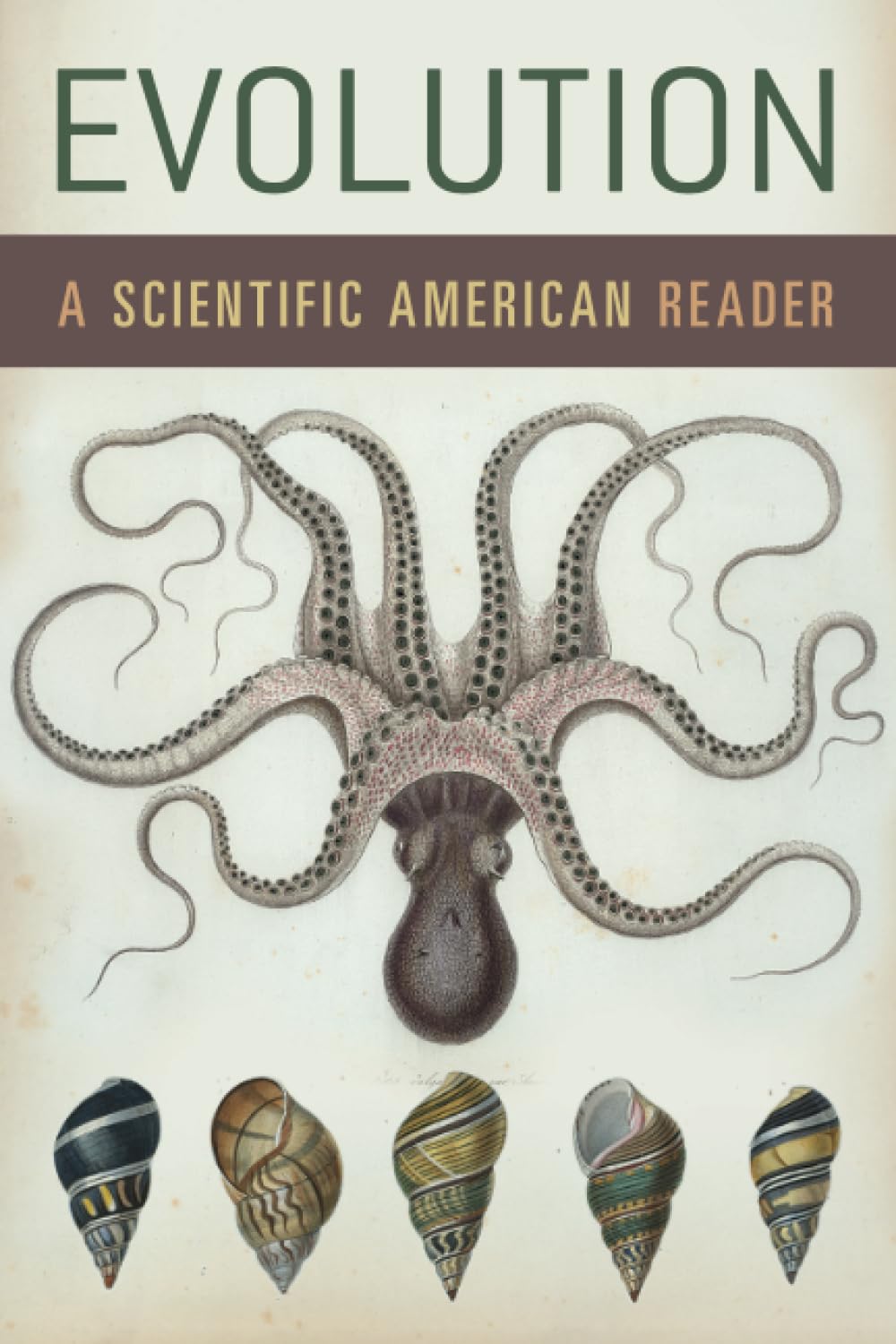 Evolution: A Scientific American Reader (Scientific American Readers)