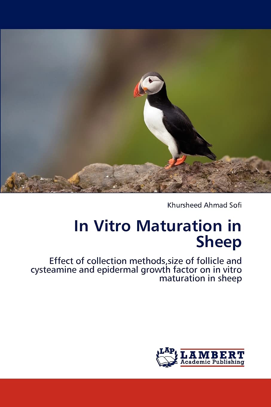 In Vitro Maturation in Sheep: Effect of collection methods,size of follicle and cysteamine and epidermal growth factor on in vit,Used