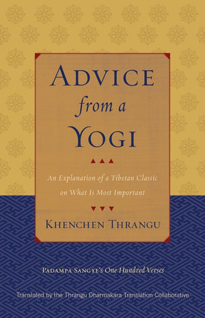 Advice from a Yogi: An Explanation of a Tibetan Classic on What Is Most Important,Used