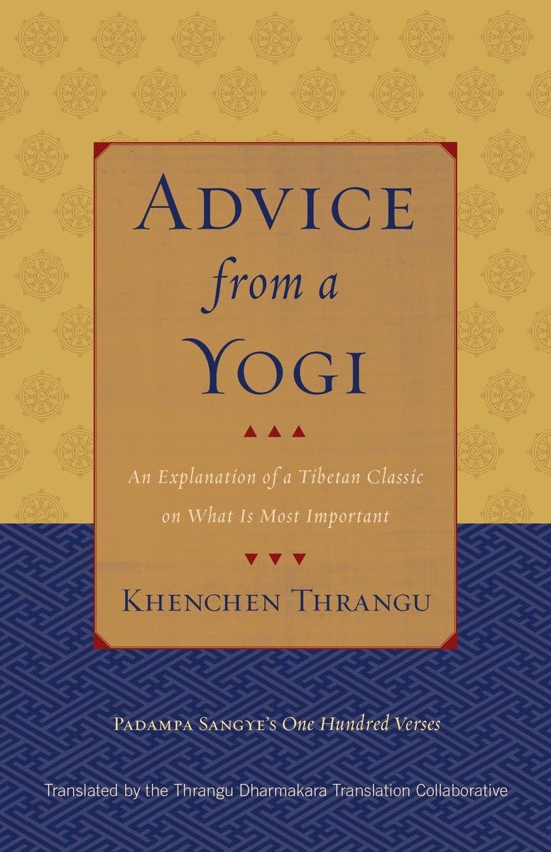 Advice from a Yogi: An Explanation of a Tibetan Classic on What Is Most Important,Used