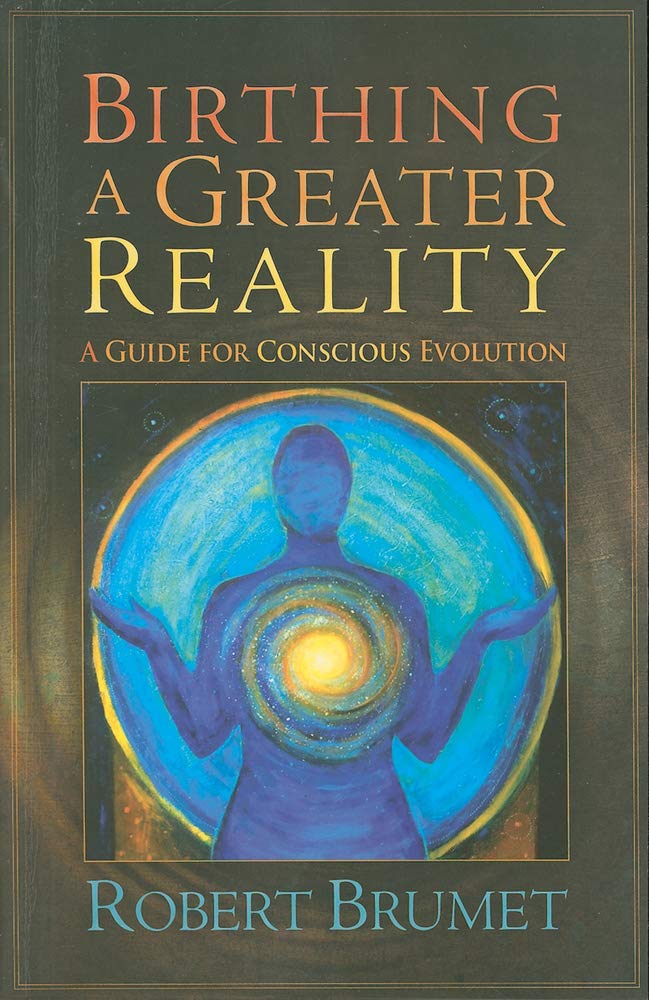 Birthing A Greater Reality: A Guide To Conscious Evolution,Used