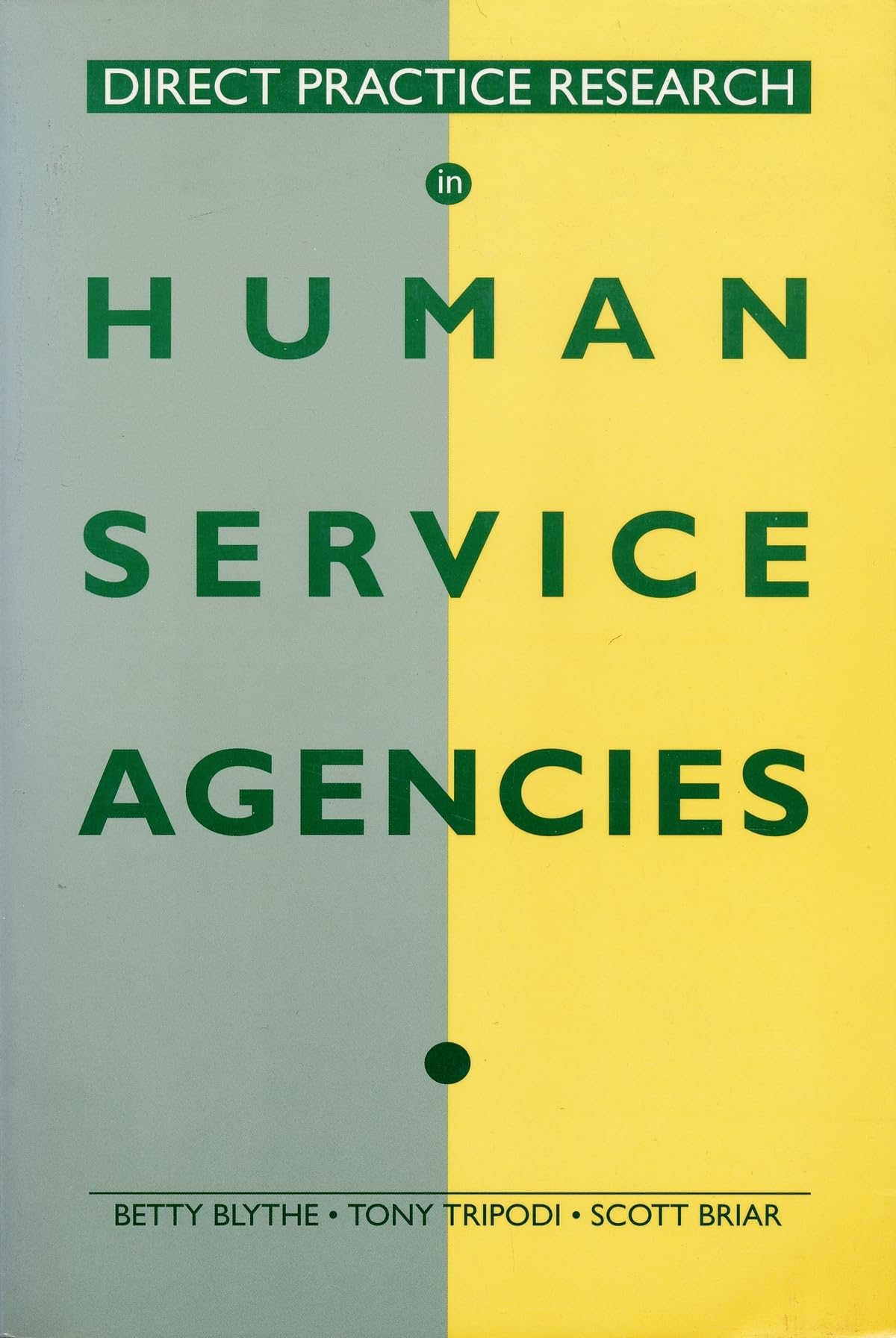Direct Practice Research In Human Service Agencies (Literature),Used