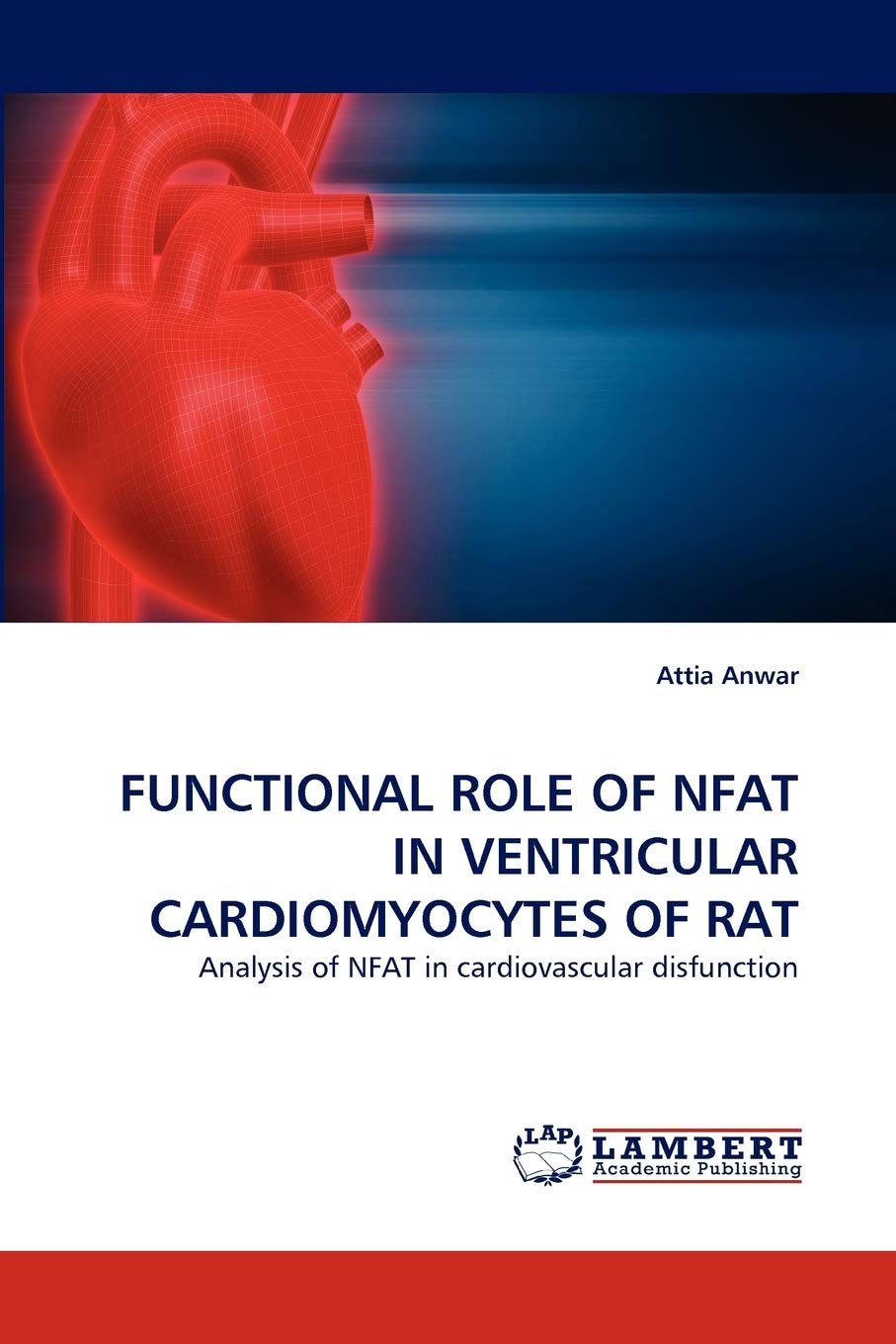 FUNCTIONAL ROLE OF NFAT IN VENTRICULAR CARDIOMYOCYTES OF RAT: Analysis of NFAT in cardiovascular disfunction,Used