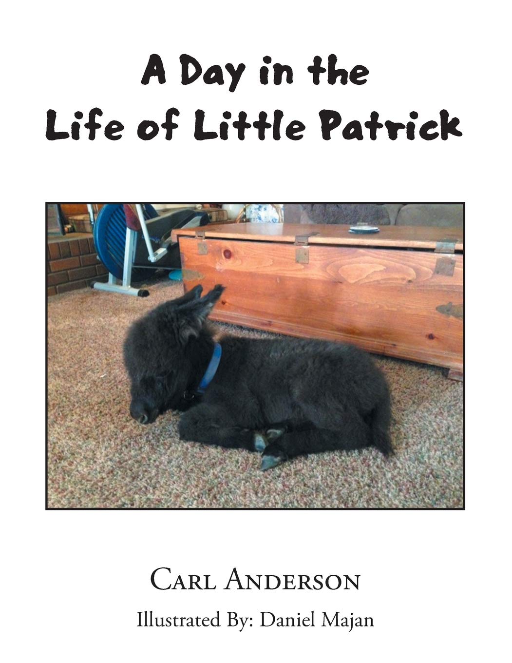 A Day in the Life of Little Patrick,Used