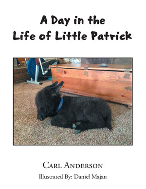A Day in the Life of Little Patrick,Used