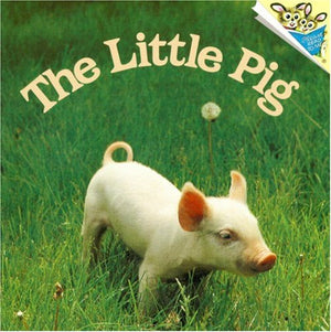 The Little Pig (Pictureback(R)),Used