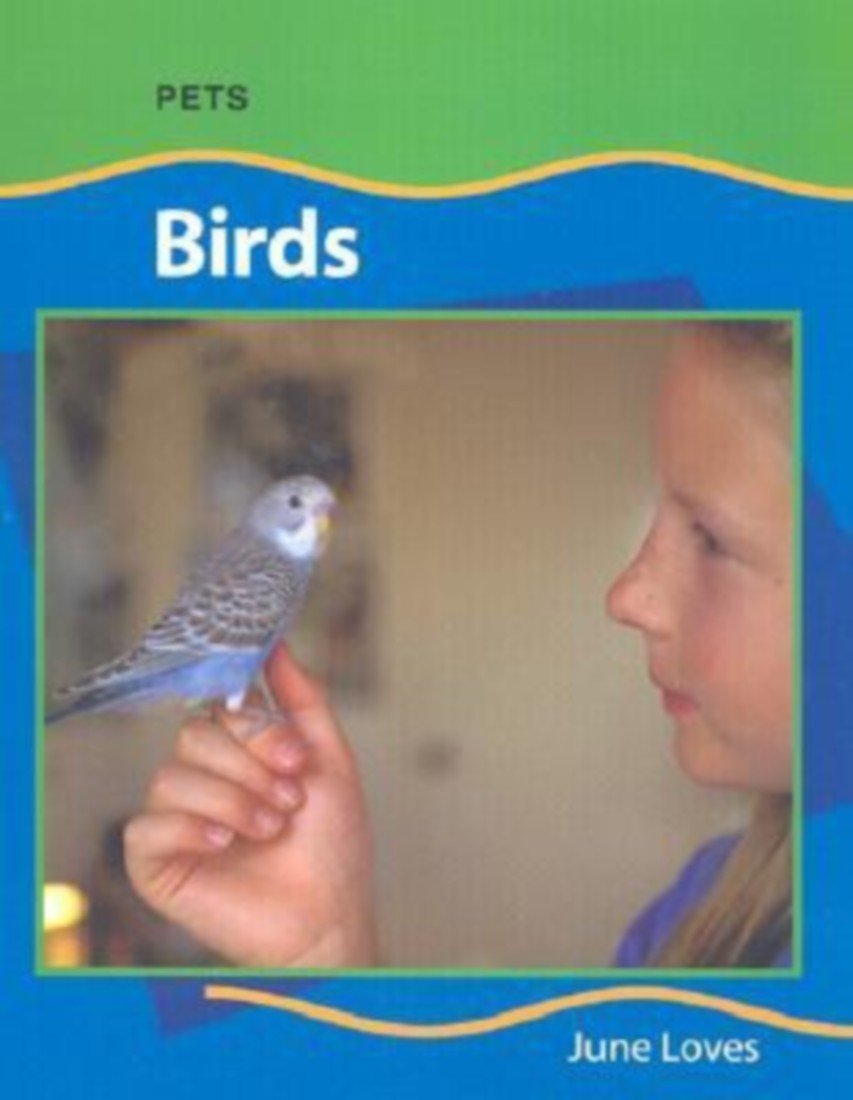 Birds (Pets),Used