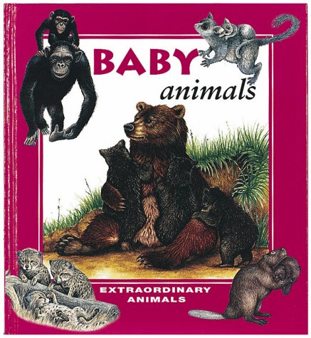 Baby Animals (Extraordinary Animals Series),Used