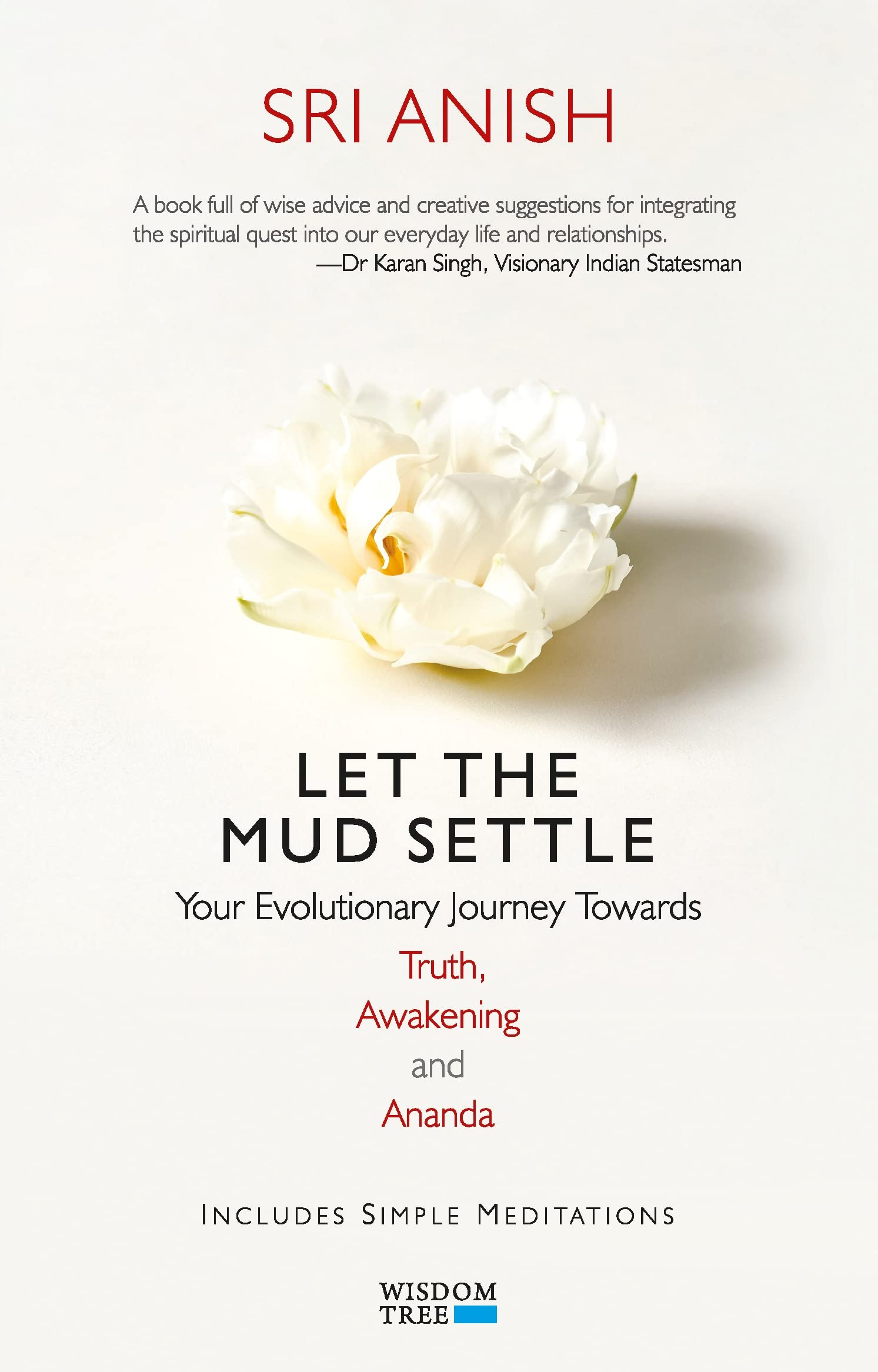 Let The Mud Settle: Your Evolutionary Journey Towards Truth, Awakening And Ananda