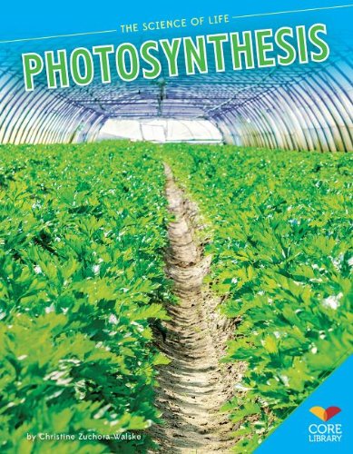 Photosynthesis (The Science of Life),Used