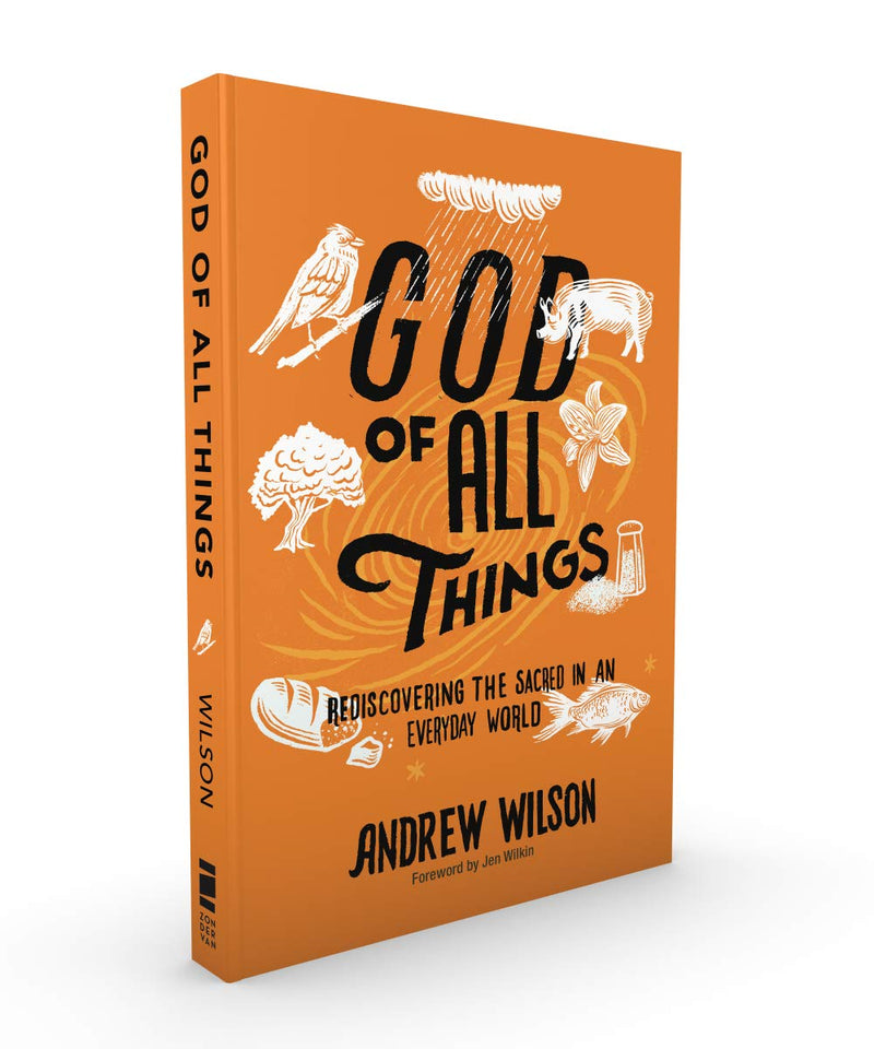 God of All Things: Rediscovering the Sacred in an Everyday World,Used