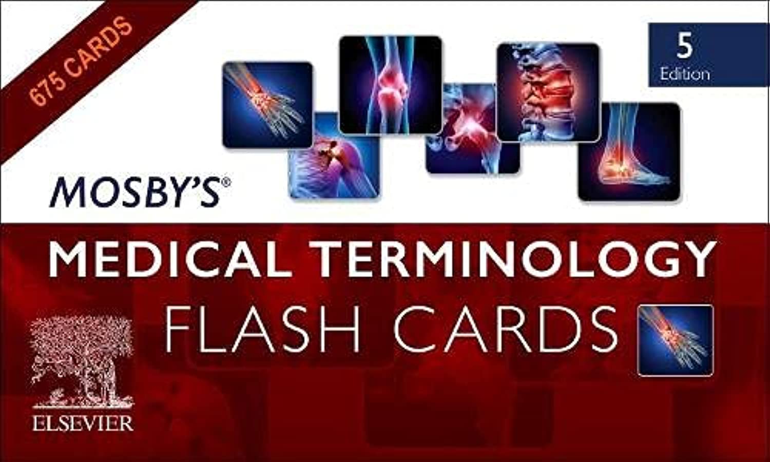 Mosby'S Medical Terminology Flash Cards,New