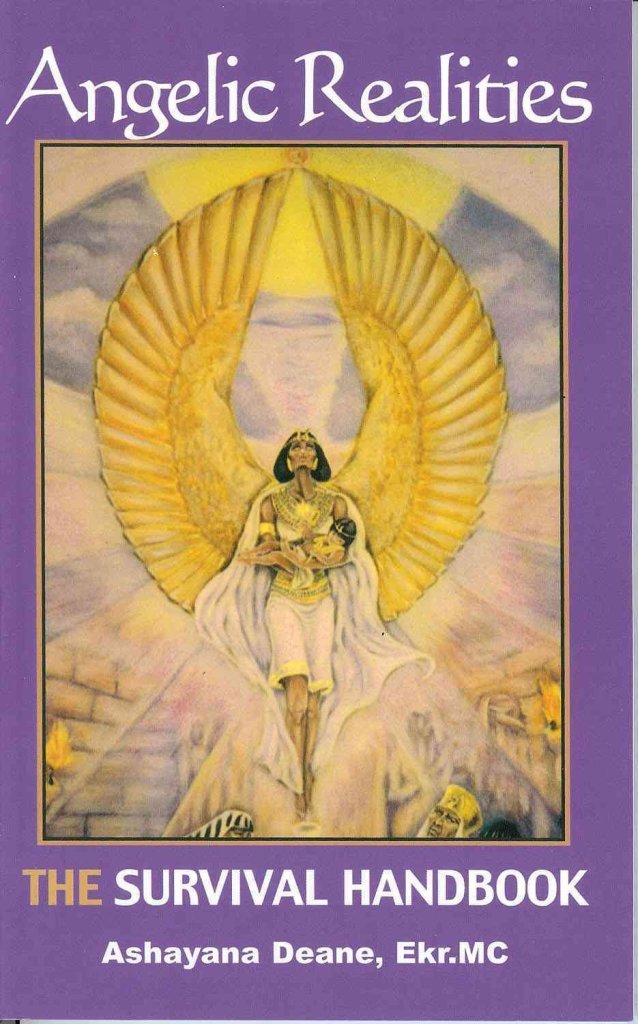 Angelic Realities: THE Survival Handbook (Voyagers),Used
