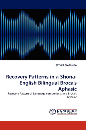 Recovery Patterns in a Shona English Bilingual Broca's Aphasic: Recovery Pattern of Language components in a Broca's Aphasic,Used