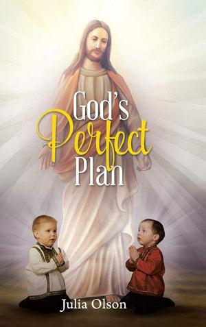 God's Perfect Plan,Used